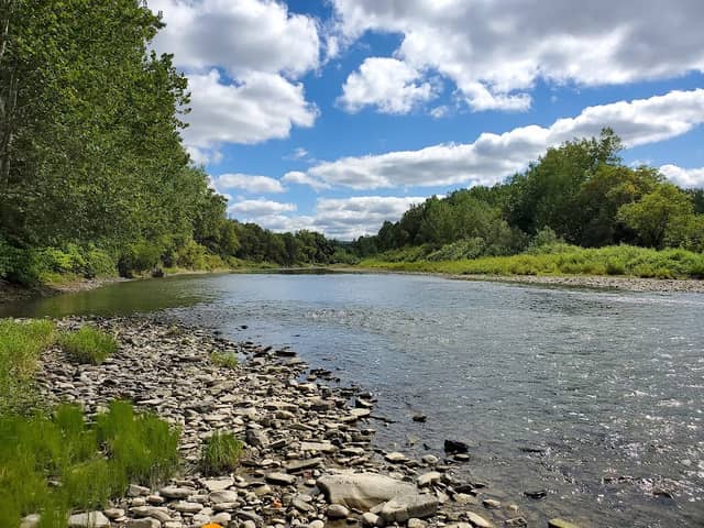 Caneadea River Access Park - Image 2