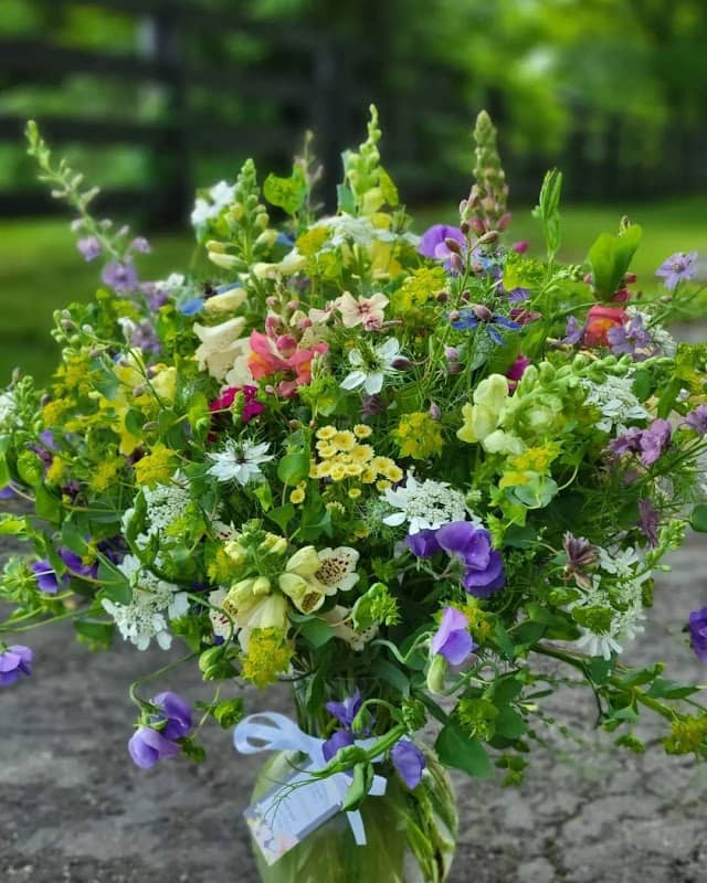 Gray Arbor Farm - Image 1