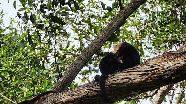 Nacarcosta Wildlife Adventure - Image 2