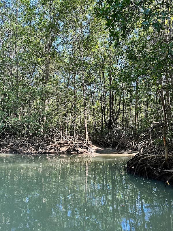Nacarcosta Wildlife Adventure - Image 1