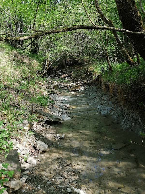 Dragonja spring - Image 1