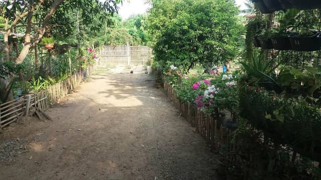 Emie's Garden - Image 1