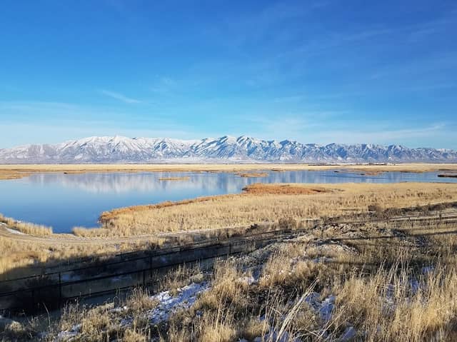 Salt Creek Waterfowl Management Area - Image 1