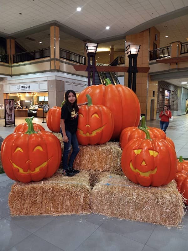 Valley Mall - Image 1