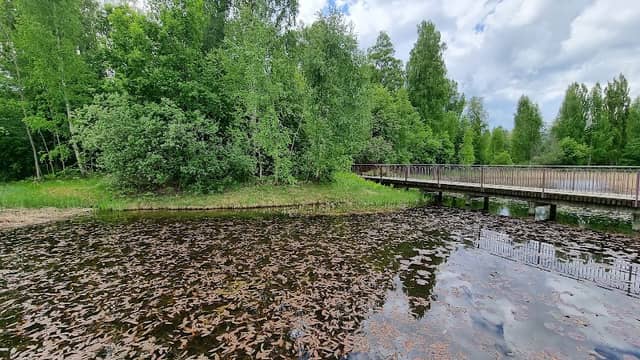 Vattenparken Borlänge - Image 2
