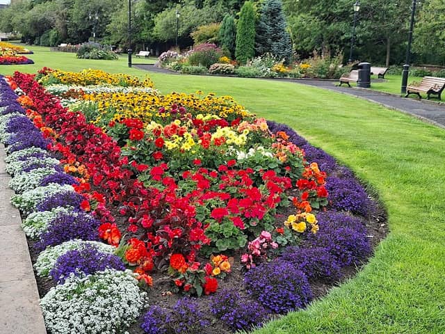 Bank St Garden - Image 1