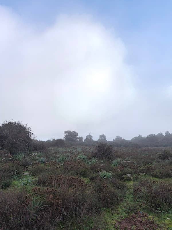 Monte cresia - Image 1