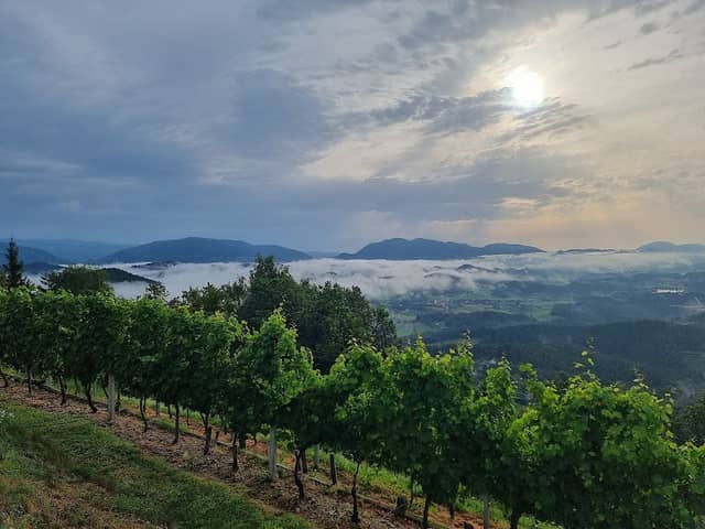 Razgledna točka ob klopci - Image 2