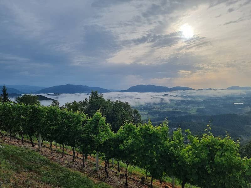 Razgledna točka ob klopci - Image 1