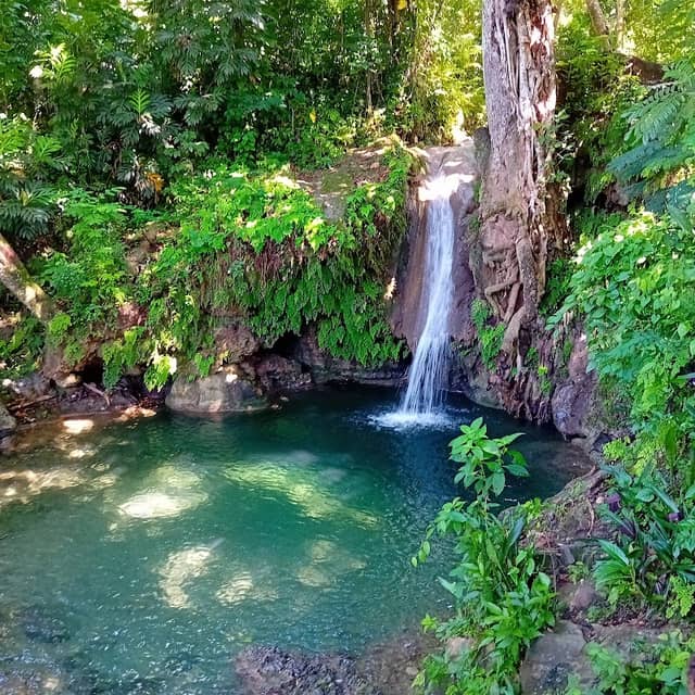 Río Punta Balandra - Image 1