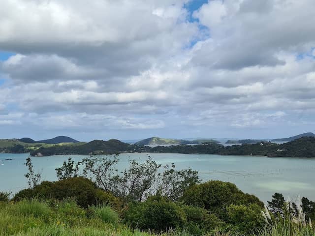 Kauri Block Walk - Image 1