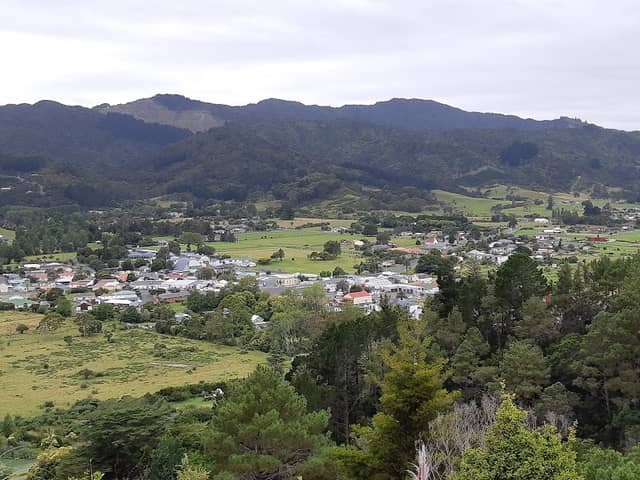 Kauri Block Walk - Image 2