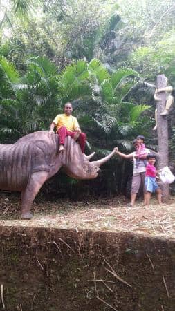 Sadhoo Merry Kingdom - Image 1