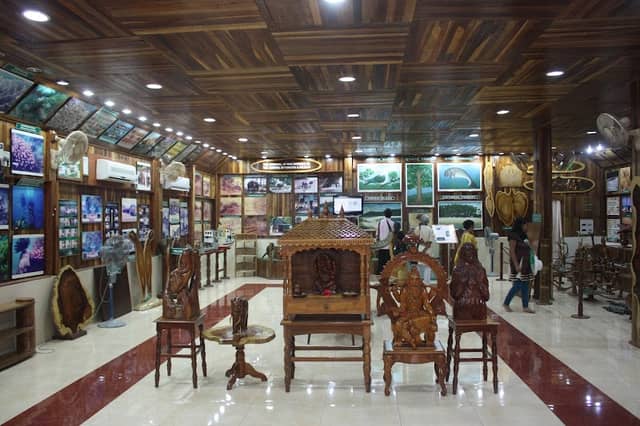 Forest Museum - Image 1