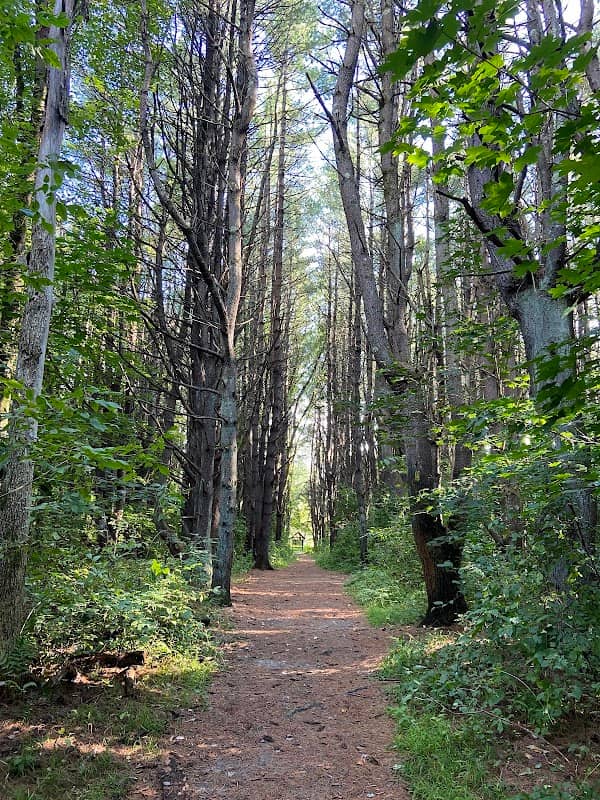Les Clark Nature Trailhead - Image 2
