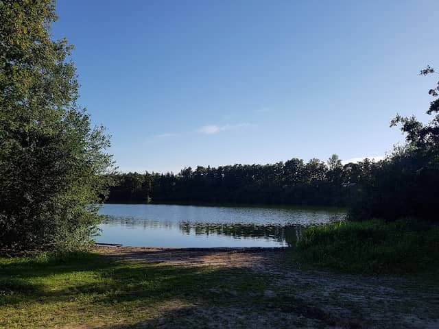 Bos en waterplas het "Grijze Veen" - Image 1