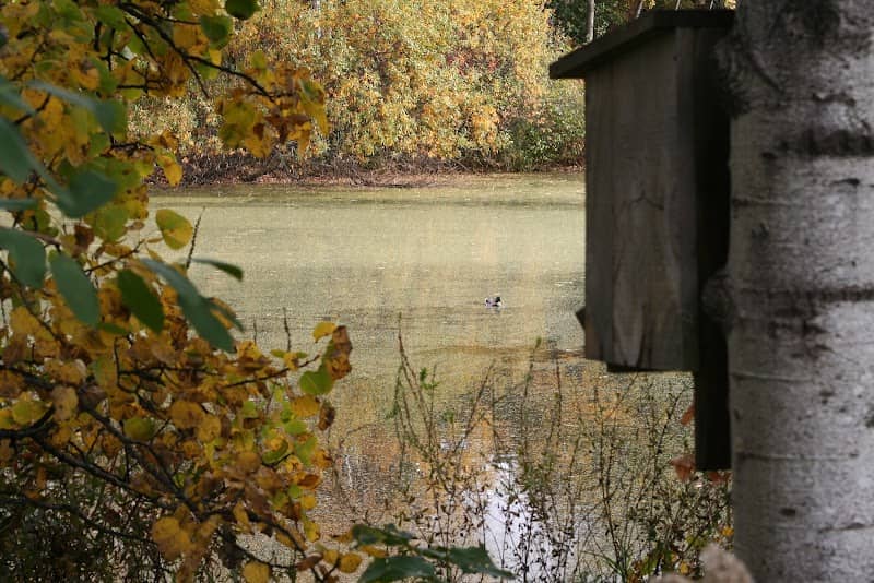 Sterling Oaks Park - Image 1