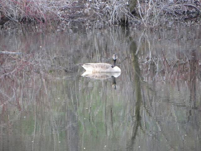 Sterling Oaks Park - Image 3