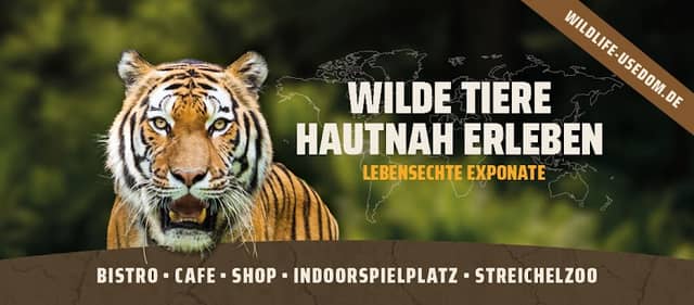 Wildlife Usedom - Tropic Reptica GmbH - Image 1