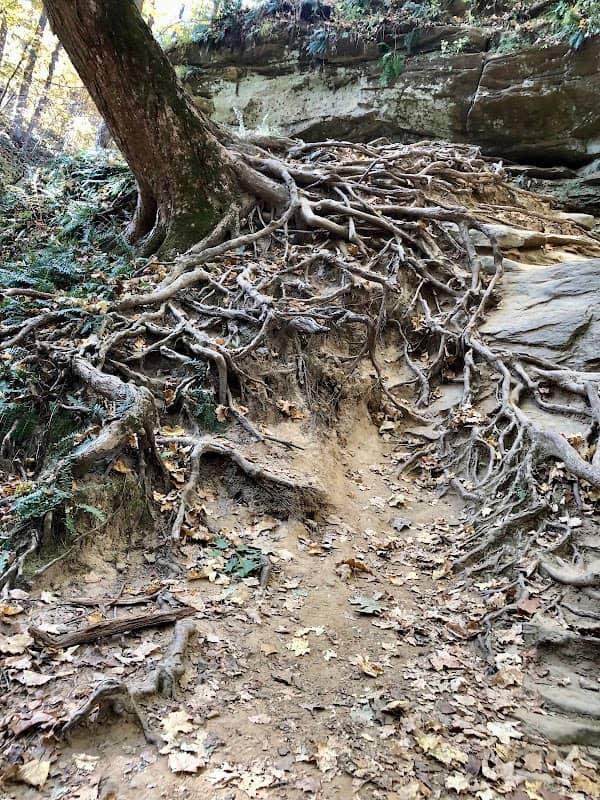 Cave Trailhead - Image 2