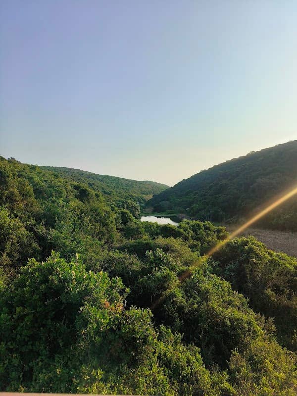Thunzi Bush Lodge - Image 1