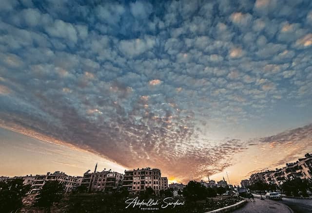حديقه - Image 2