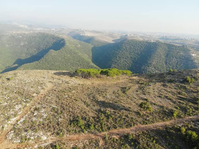 RAS QATEEAH - Image 2