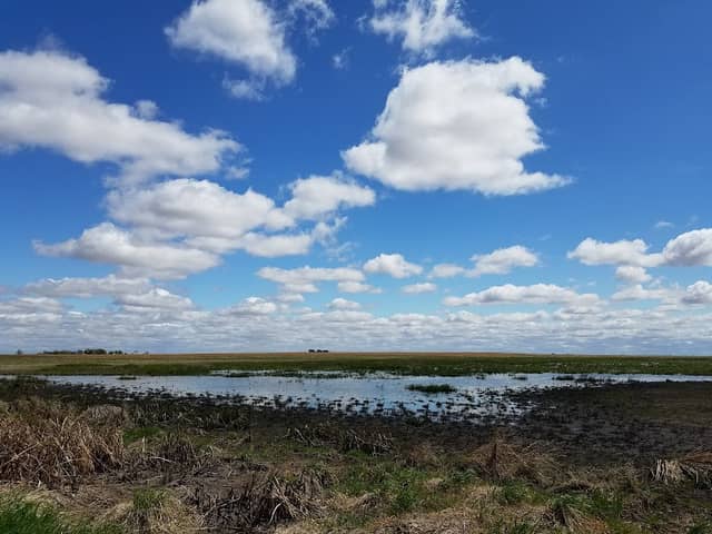 Hultine North Waterfowl Production Area - Image 1