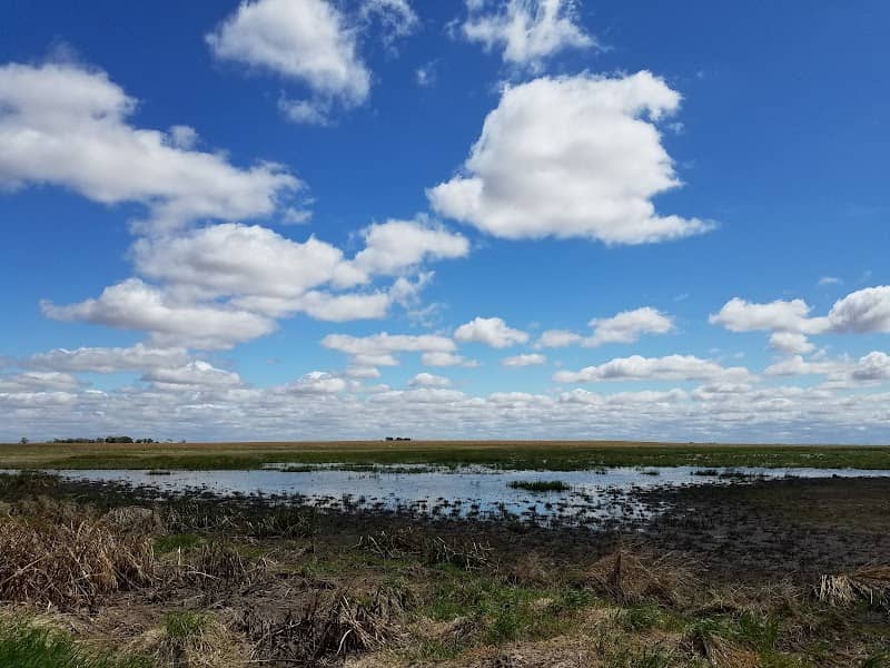 Hultine North Waterfowl Production Area - Image 1
