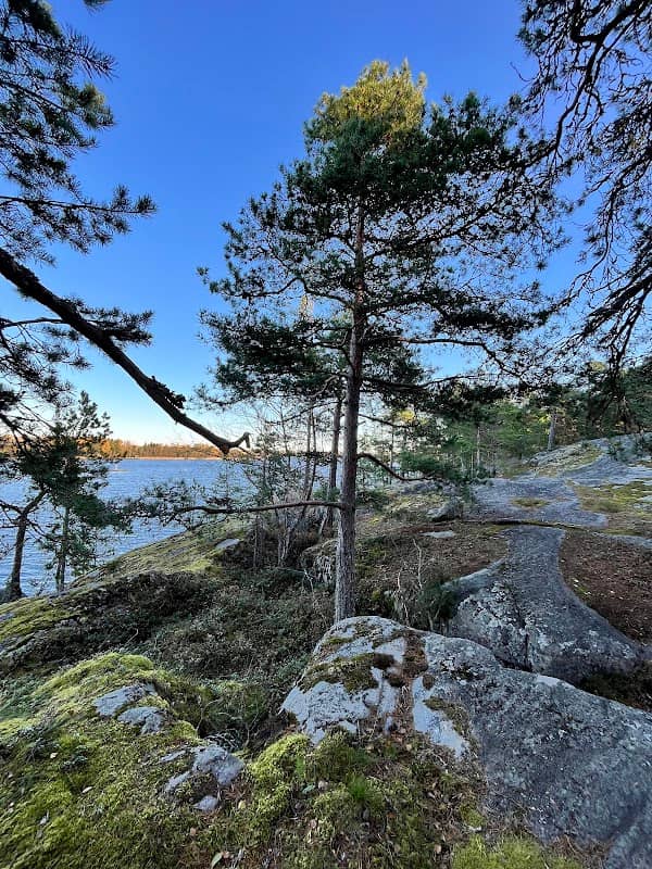 Rotary Park - Image 1