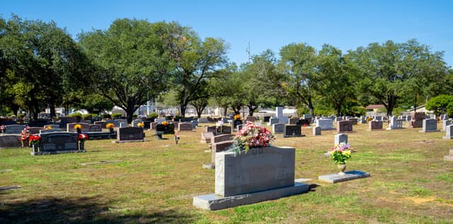 Memory Park Cemetery - Image 1