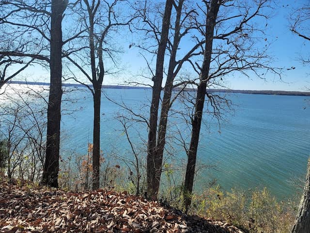Kentucky Lake Scenic Drive - Image 2