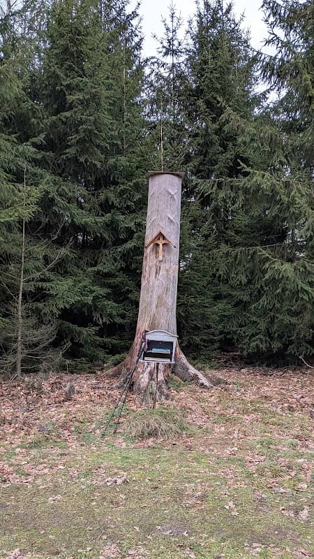 Horizontreiter Arnsberger Wald - Image 1