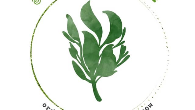 මන්දෝදරී plant house - Image 1