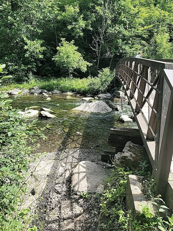 Chittenango Lions Botanical Park & Creekwalk - Image 2