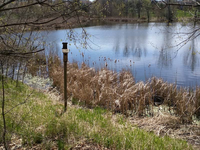 Summit Pointe Park - Image 2