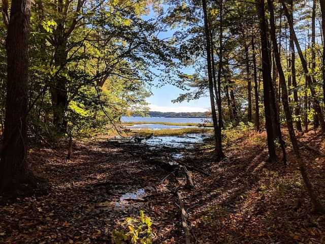 Bellamy Preserve - Image 1