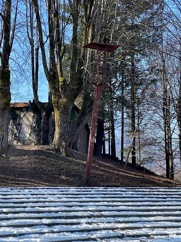 Grajski park - Image 3