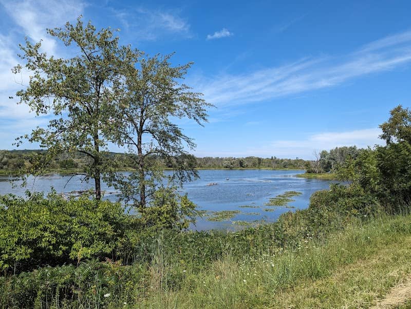 Fox River Shores Forest Preserve - Image 1