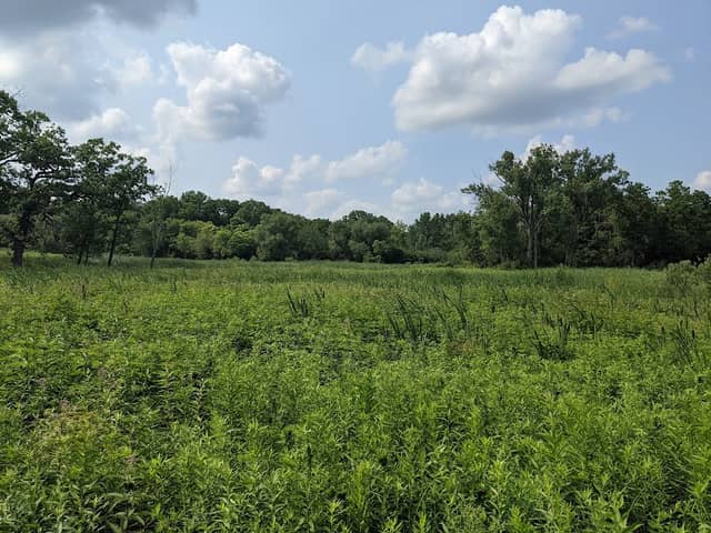Boger Bog Conservation Area - Image 2