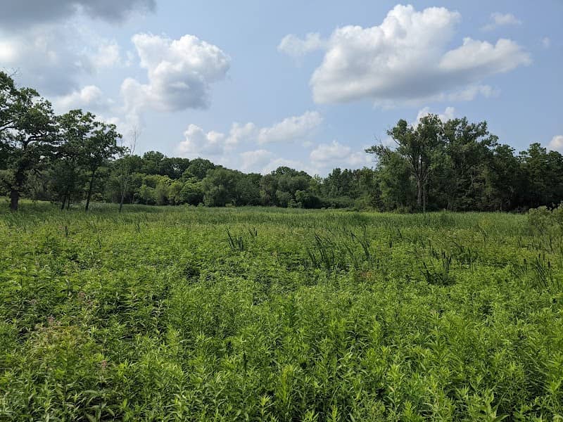Boger Bog Conservation Area - Image 2