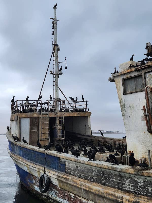Walvis Bay - Image 1