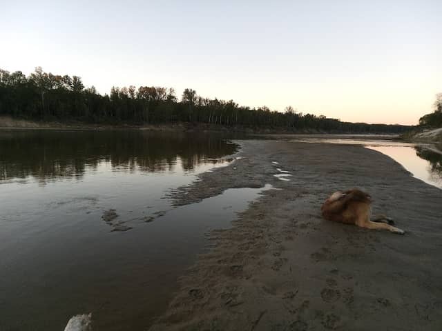 Sand Bar - Image 1