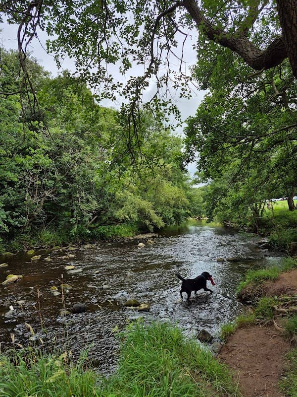 Allensford Country Park - Image 2