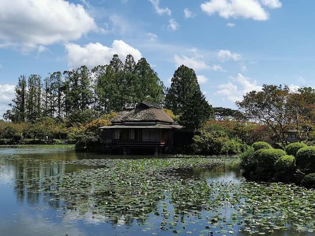 Kouno park - Image 1