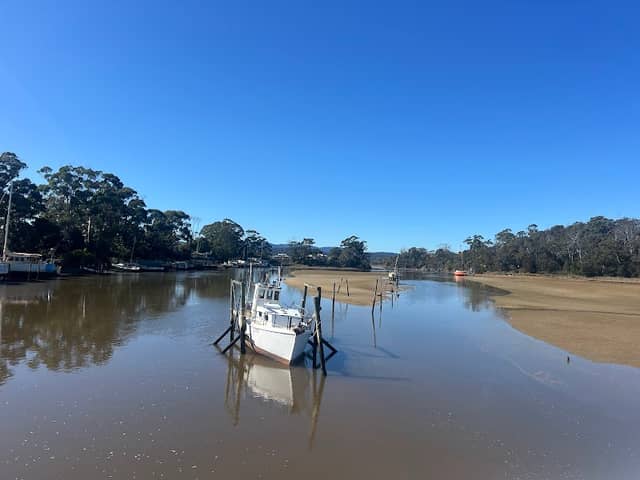 Panatana Rivulet Footbridge - Image 1
