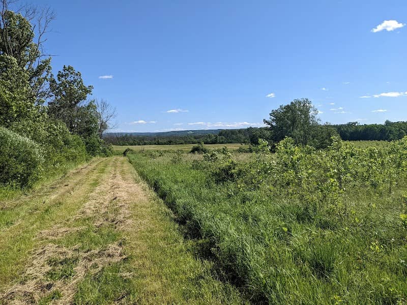 Honeoye Creek Wildlife Management Area - Image 1