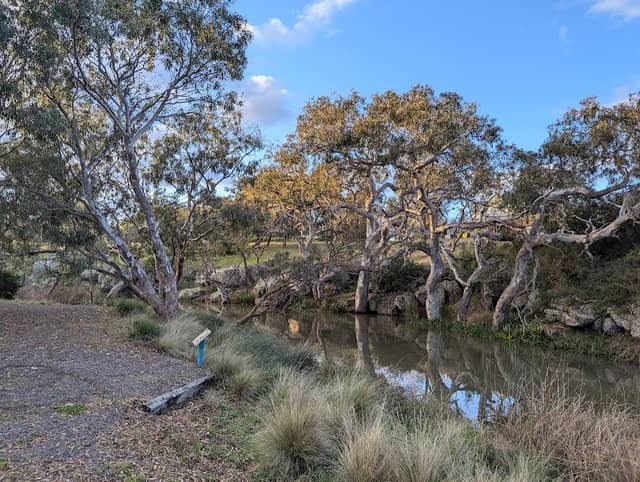 Tuckers Waterhole - Image 1
