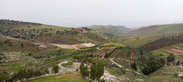 ماحص ام الخال - Image 1