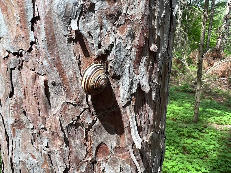 Conservation Access - Image 2